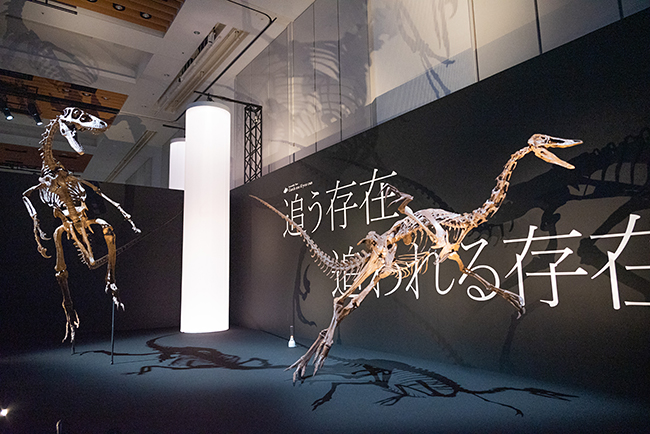「DinoScience 恐竜科学博 2023@TOKYO MIDTOWN」体験レポートの写真