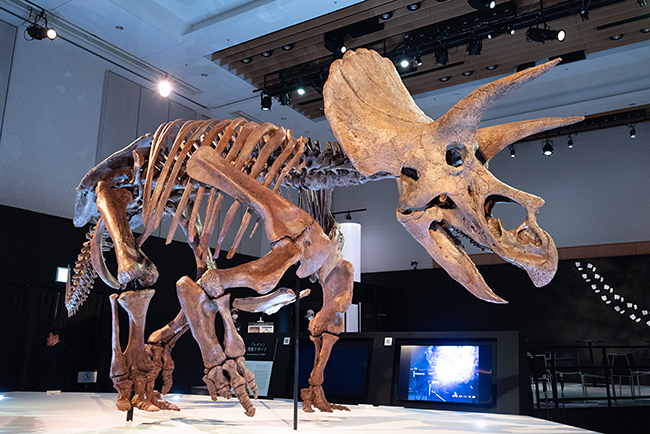 「DinoScience 恐竜科学博 2023@TOKYO MIDTOWN」体験レポートの写真