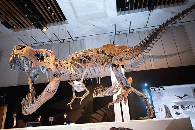 「DinoScience 恐竜科学博 2023@TOKYO MIDTOWN」体験レポートの写真