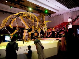 20230720_report_DinoScience_25