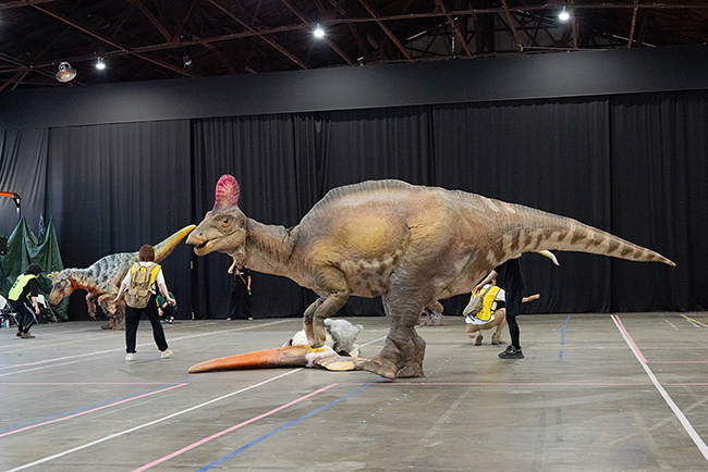 恐竜ライブ「DINO SAFARI GIGANT（ディノサファリ ギガント）」稽古場潜入レポートの写真