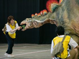 20230728_report_keiko_GIGANT_08