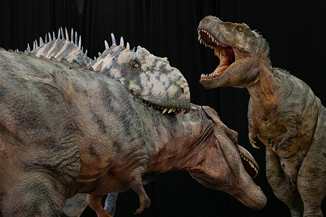 恐竜ライブ「DINO SAFARI GIGANT（ディノサファリ ギガント）」稽古場潜入レポートの写真