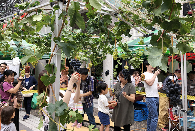 アークヒルズ 秋祭り 2023の画像