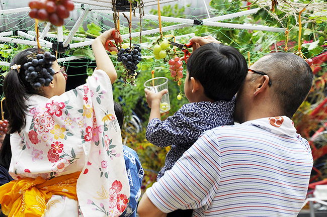 ヒルズマルシェ “大収穫祭”の画像