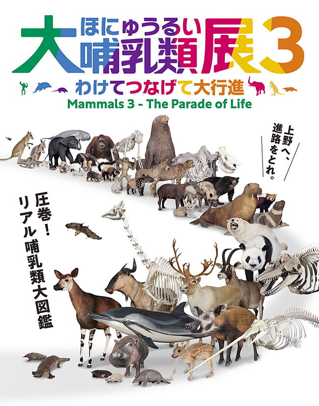 特別展「大哺乳類展３－わけてつなげて大行進」のポスター