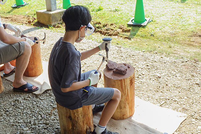 オダイバ恐竜博覧会2024 －福井から“ヤツラ”が新幹線でやってくる！－の画像