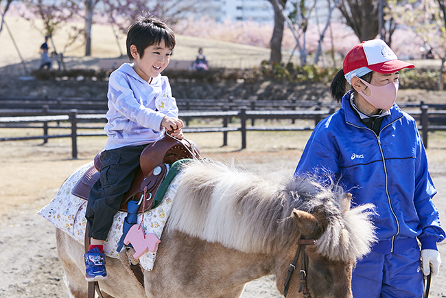 子供が読書に乗馬、すべり台、1日中楽しめる！「魔女の宅急便」作者・角野栄子さんの世界観を表現した児童文学館「魔法の文学館」親子体験レポートの写真