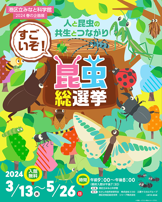 港区立みなと科学館 2024春の企画展「すごいぞ！昆虫総選挙」の画像