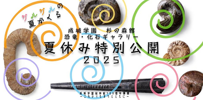 成城学園 恐竜・化石ギャラリー夏休み特別公開の画像