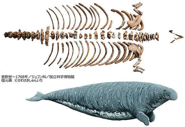 特別展「大絶滅展―生命史のビッグファイブ」の画像