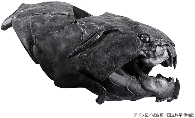 特別展「大絶滅展―生命史のビッグファイブ」の画像