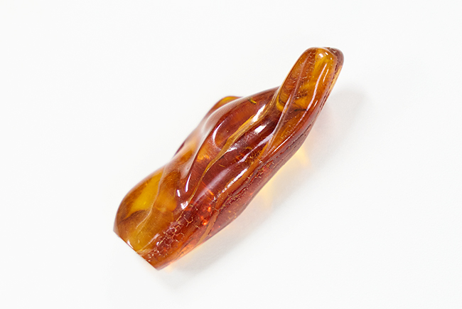 特別展「大絶滅展―生命史のビッグファイブ」矢部淳先生インタビュー写真