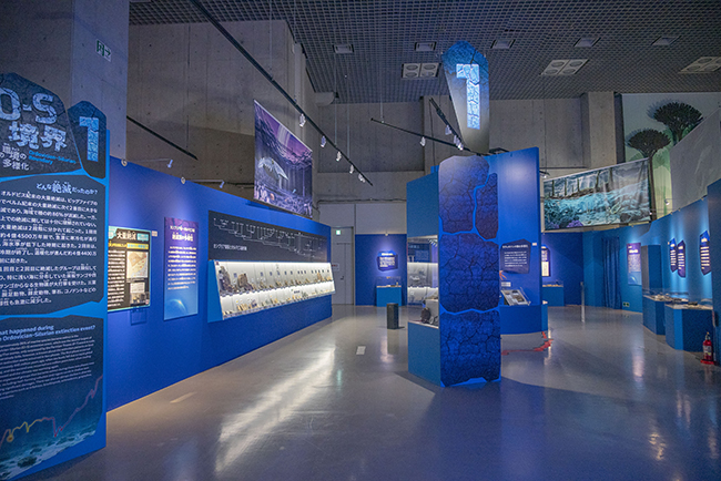 特別展「大絶滅展―生命史のビッグファイブ」体験レポートの写真