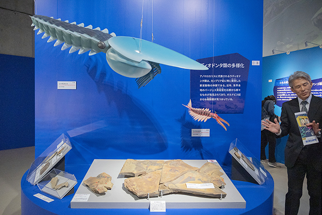 特別展「大絶滅展―生命史のビッグファイブ」体験レポートの写真