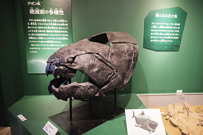特別展「大絶滅展―生命史のビッグファイブ」体験レポートの写真