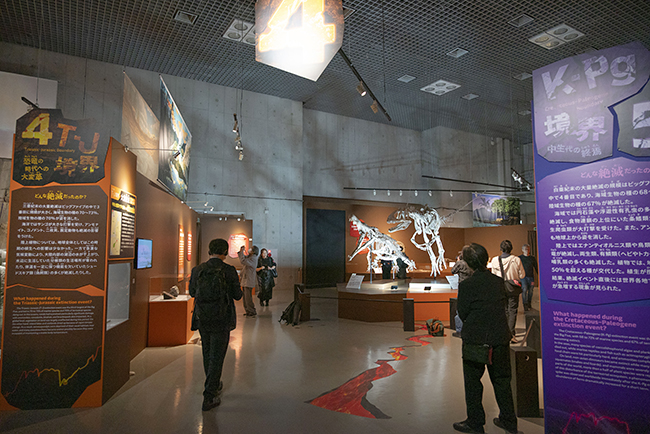 特別展「大絶滅展―生命史のビッグファイブ」体験レポートの写真
