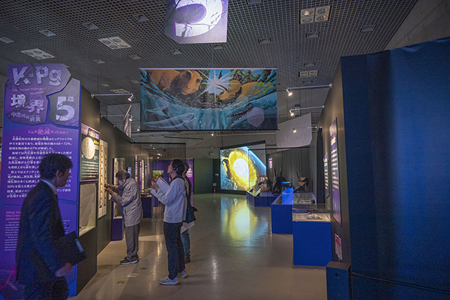 特別展「大絶滅展―生命史のビッグファイブ」体験レポートの写真