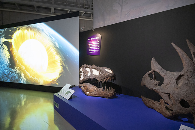 特別展「大絶滅展―生命史のビッグファイブ」体験レポートの写真