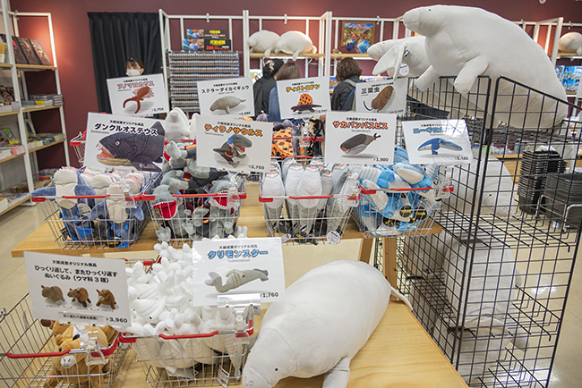 特別展「大絶滅展―生命史のビッグファイブ」体験レポートの写真