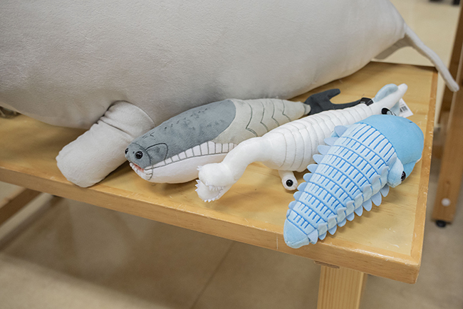 特別展「大絶滅展―生命史のビッグファイブ」体験レポートの写真