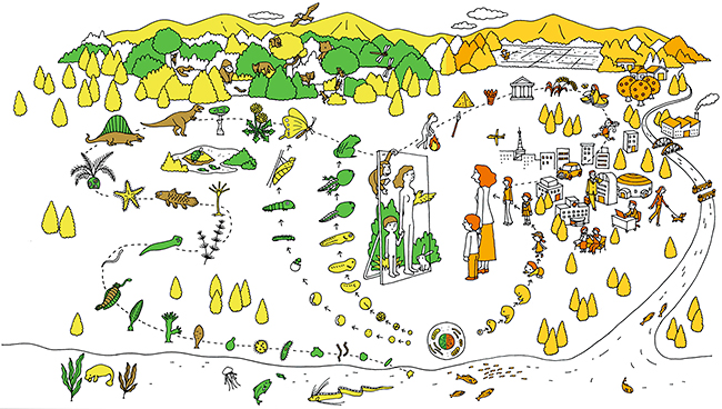 港区立みなと科学館 2025冬の企画展「進化のフシギ～変わり続ける生きものたち～」の画像