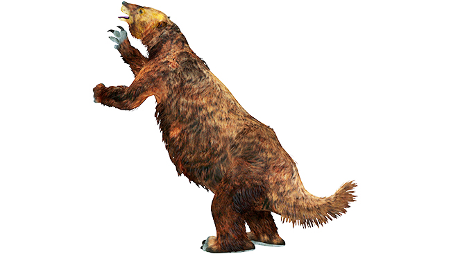 港区立みなと科学館 2025冬の企画展「進化のフシギ～変わり続ける生きものたち～」の画像