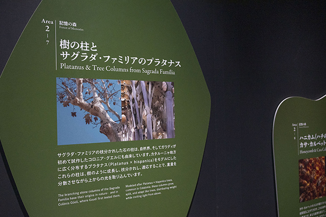 NAKED meets ガウディ展（ネイキッド・ミーツ・ガウディ展）レポートの写真