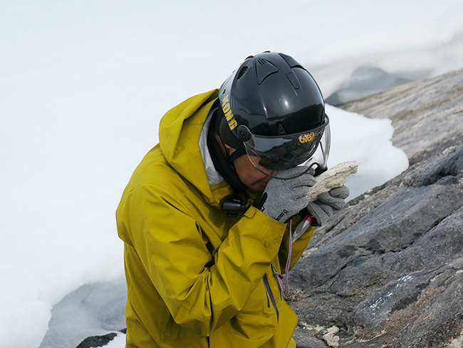 特別展「大南極展」の画像