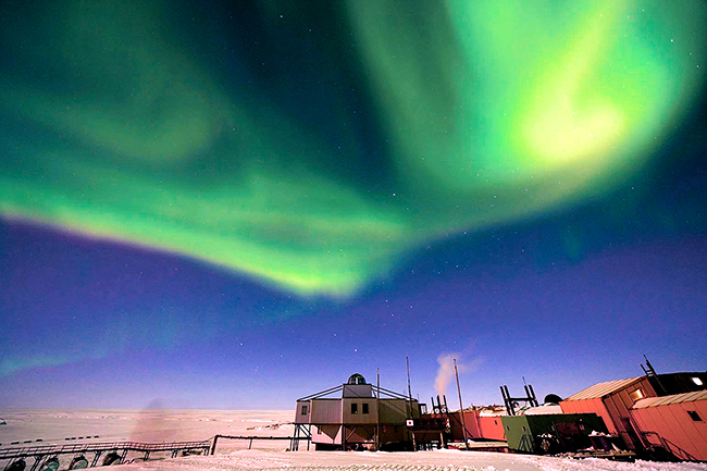 特別展「大南極展」の画像