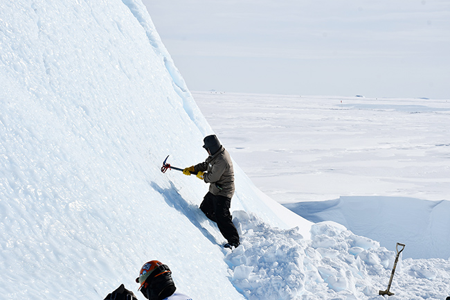 特別展「大南極展」の画像