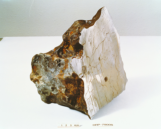 特別展「大南極展」の画像