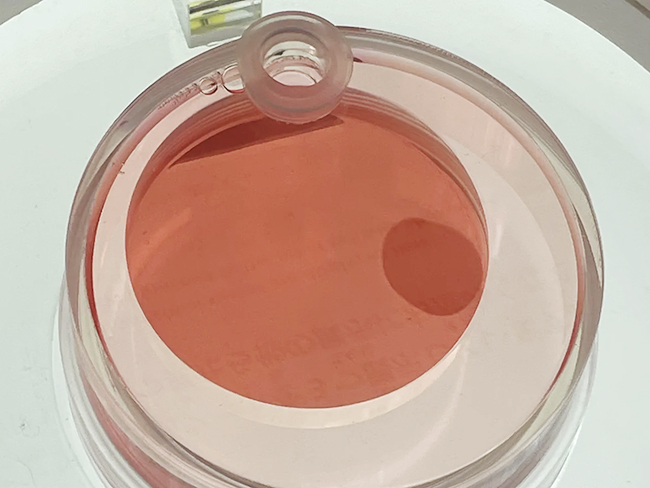 みゃくみゃくとつなぐ展の画像