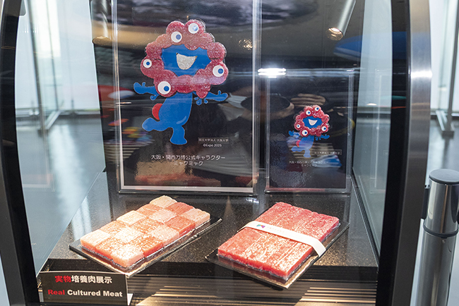 「みゃくみゃくとつなぐ展」の画像