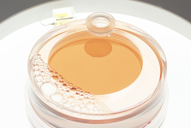 「みゃくみゃくとつなぐ展」の画像