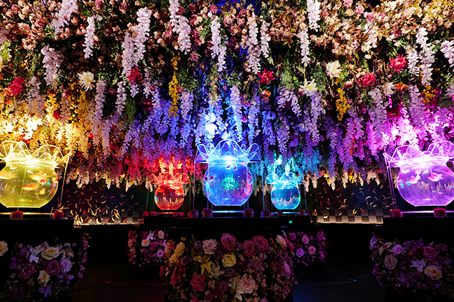 アートアクアリウム展 さいたまスーパーアリーナ2026の画像