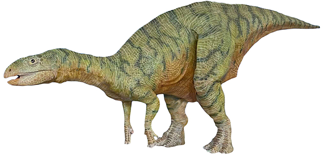 体験型恐竜ライブエンターテインメント「ディノサファリ 2026」に登場予定の恐竜フクイサウルス