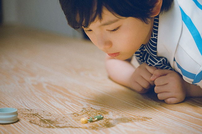 是枝裕和監督最新作『箱の中の羊』の画像