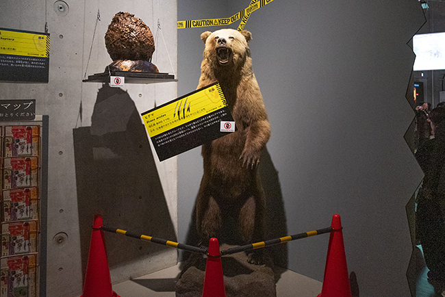 国立科学博物館「超危険生物展」の会場入口に置かれているヒグマ