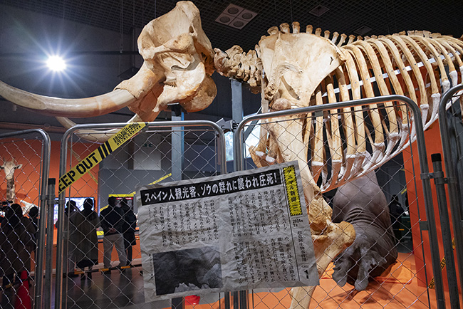 国立科学博物館「超危険生物展」で展示されているアフリカゾウにまつわるニュース記事