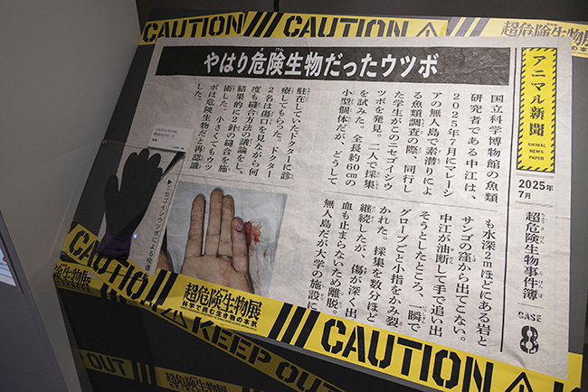 監修の中江雅典先生がニセゴイシウツボに手を噛みつかれた新聞も展示