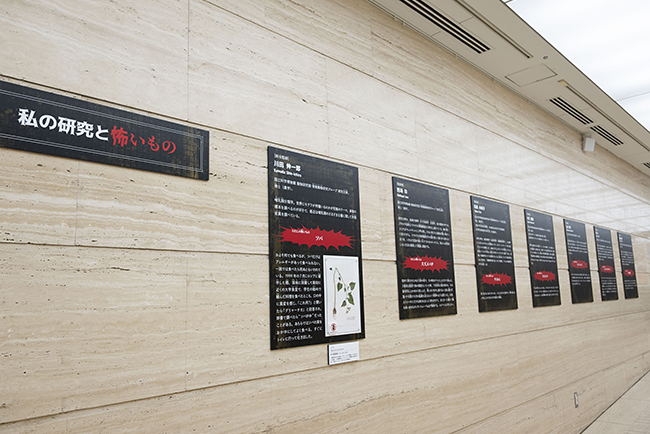 国立科学博物館「超危険生物展」で展示されている、監修の先生方の怖い生物を発表