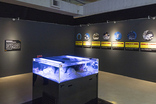 国立科学博物館「超危険生物展」で展示されている生きている危険生物