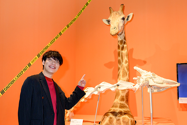 国立科学博物館「超危険生物展」のアンバサダーで音声ガイドナビゲーターを務める川島明(麒麟)さんがキリンの剥製とツーショット