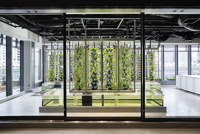 「ミムレ」の2階フロアにある「ボタニカル ラボ」