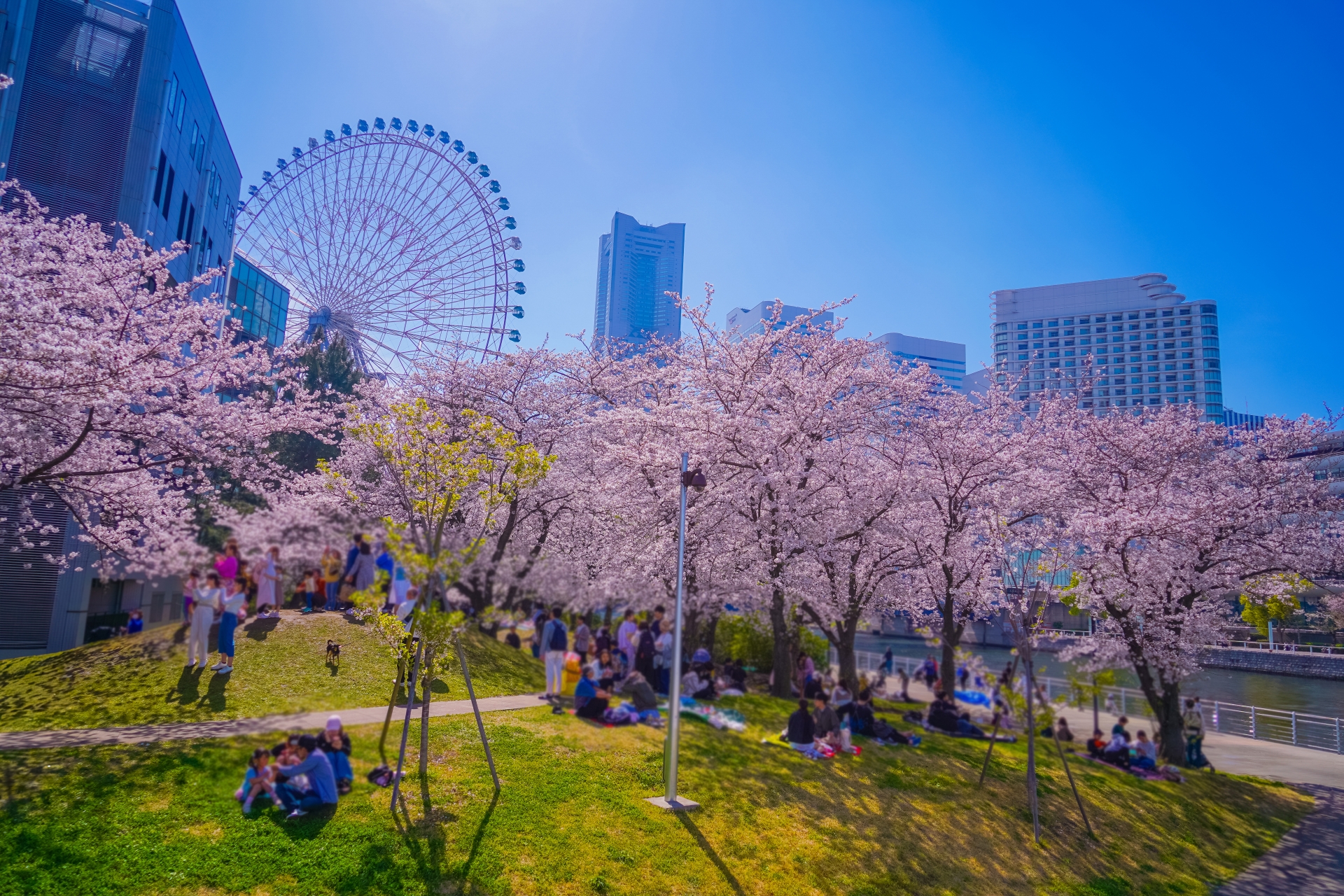東京の春休み子連れおでかけ15選【2026年版】|桜&限定イベントを年齢別で全網羅