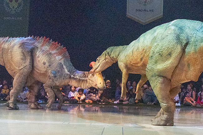 「ディノサファリ 2026（DINO SAFARI 2026）」公開ゲネプロで初登場したパラサウロロフスとフクイサウルス