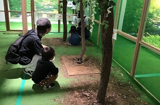 大型虫小屋で、オオクワガタなど、国産カブトムシ・クワガタ約160匹とふれあえるイメージ写真。