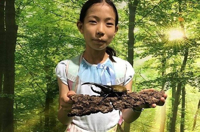 記念撮影会のイメージ画像