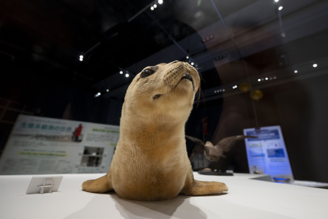 特別展「大南極展」記者発表会・内覧会